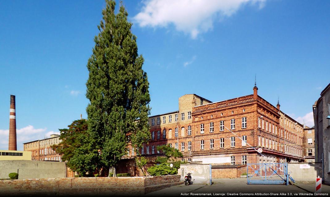 Informacja o odbiorze choinek dla mieszkańców Chodzieży